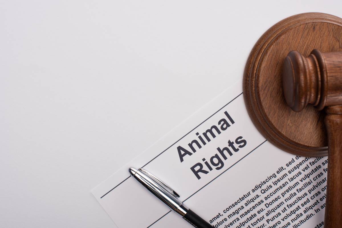 Petition starten im Rems-Murr-Kreis — Anleitung für effektiv