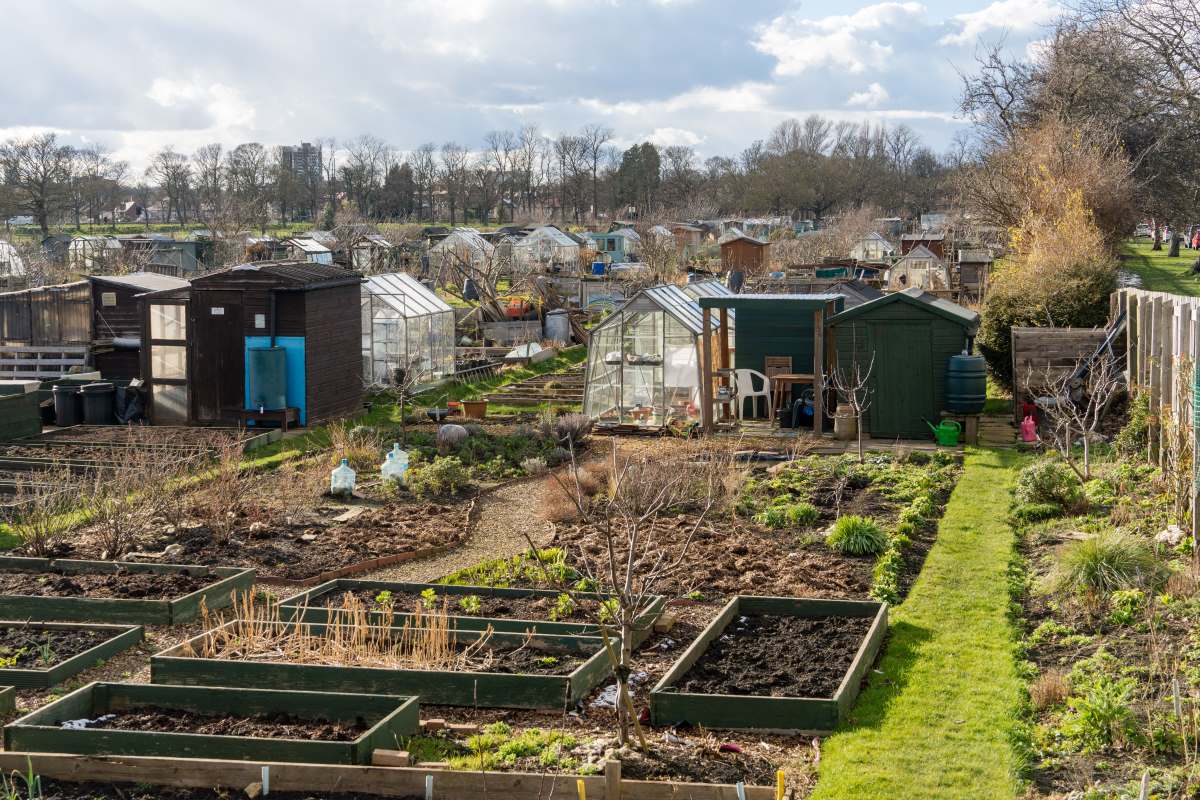 Schrebergarten im Rems-Murr-Kreis: Pacht, Regeln und was Sie